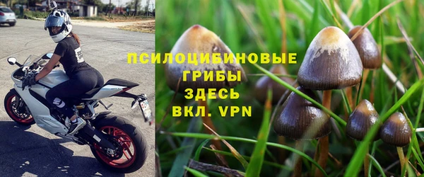 эйфоретик Арсеньев